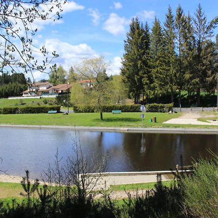 Gite Avec Cheminee, Terrasse Et Wifi - Animaux Acceptes - Fr-1-496-163 Usson-en-Forez Kültér fotó