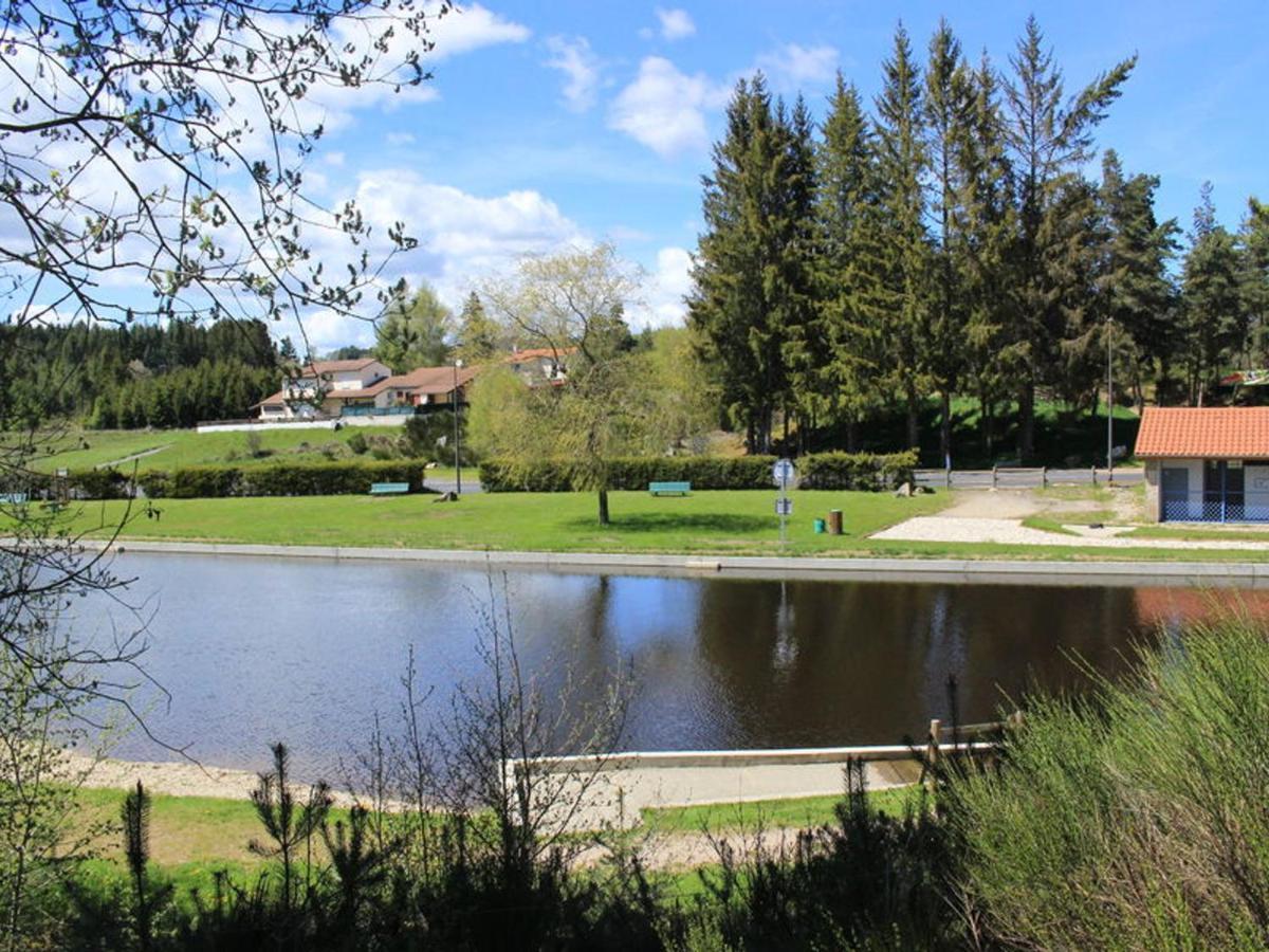 Gite Avec Cheminee, Terrasse Et Wifi - Animaux Acceptes - Fr-1-496-163 Usson-en-Forez Kültér fotó